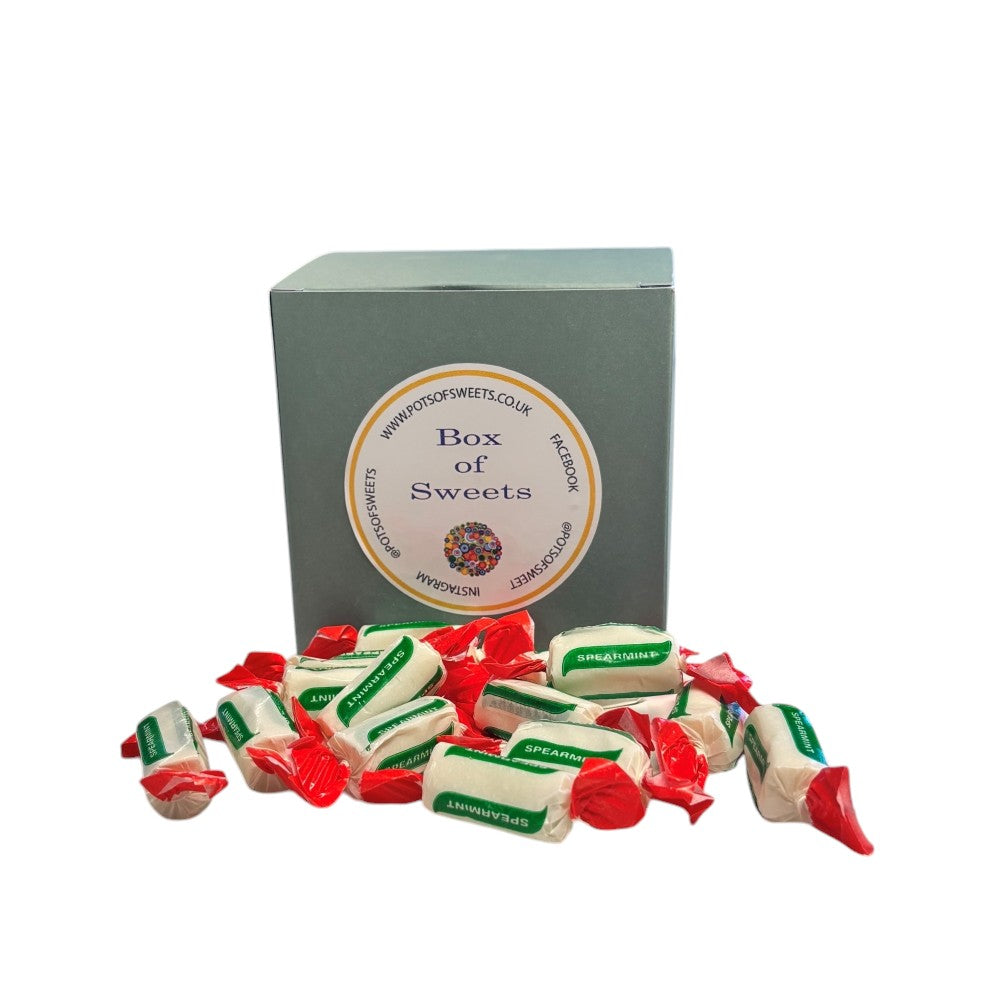 300g Box of Sugar Free Spearmint Chews