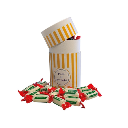 200g Tube of Sugar Free Spearmint Chews